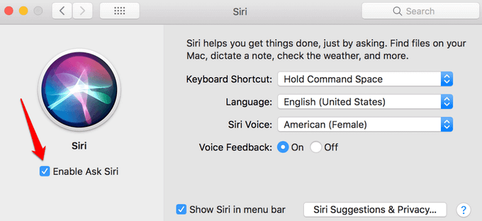 Enable Ask Siri checkmark in Siri